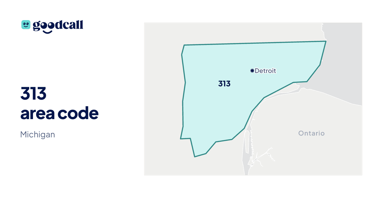 313 area code: Michigan