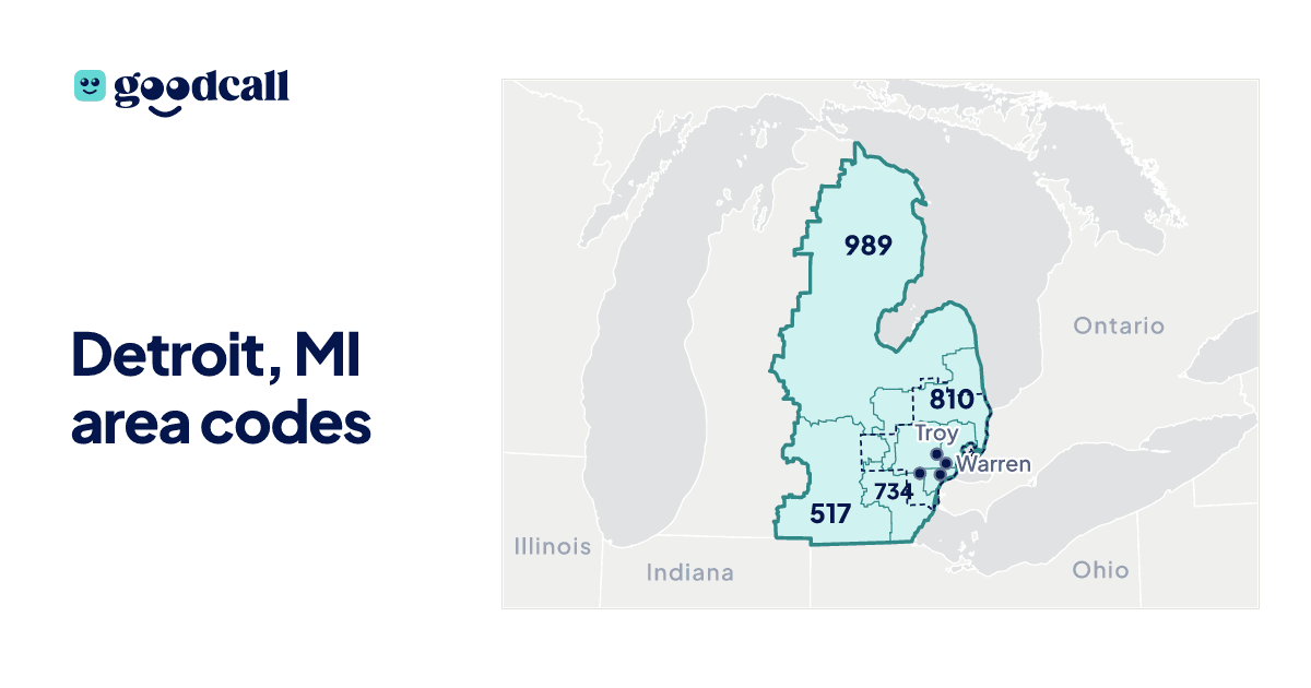 Detroit, MI area codes